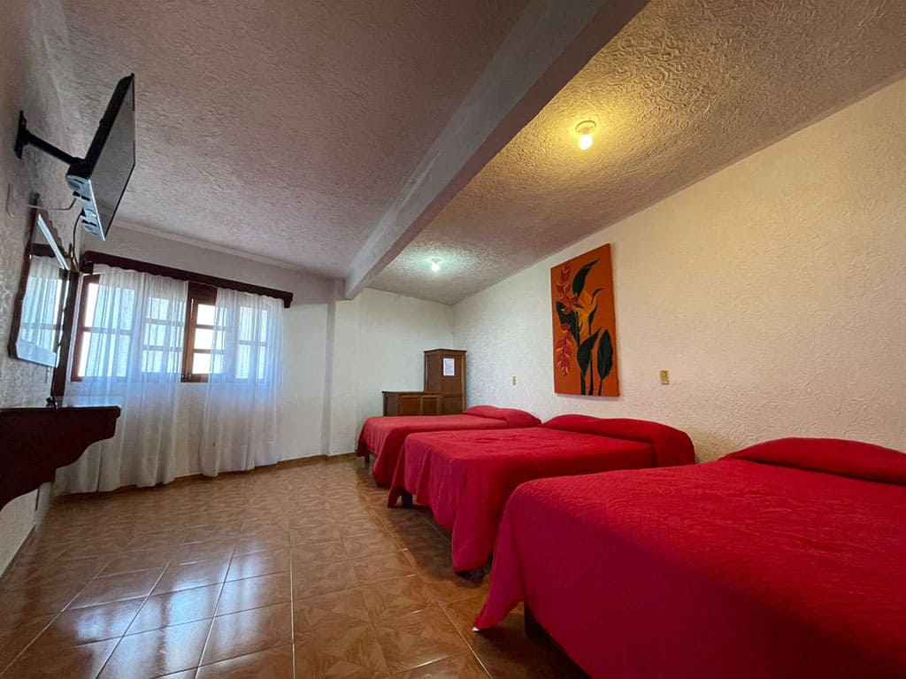 Hotel & Suites Posada Molina